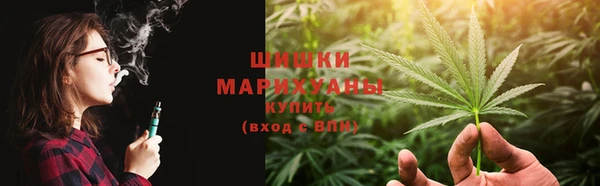 прущие грибы Сосновоборск